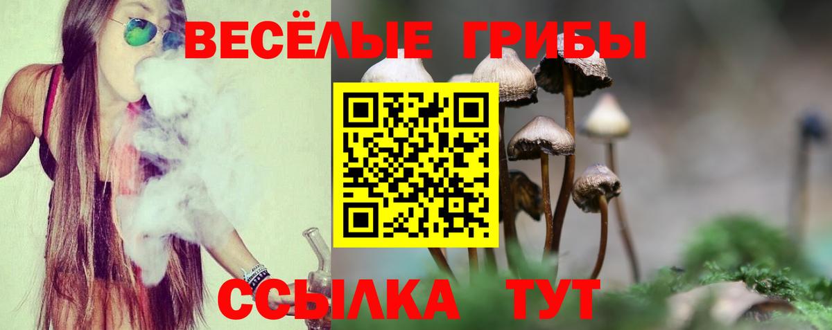 Галлюциногенные грибы прущие грибы Алейск