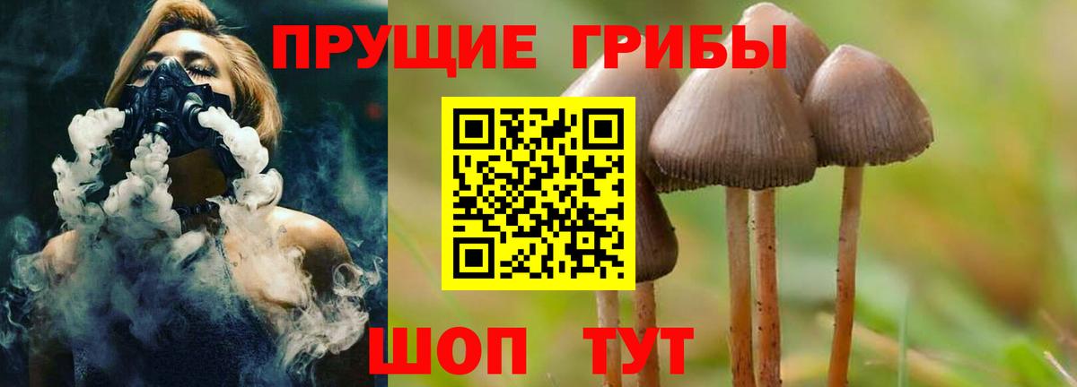 Галлюциногенные грибы Psilocybe  Вход с VPN  Алейск 